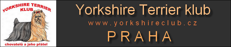 Yorkshire terrier klub Praha